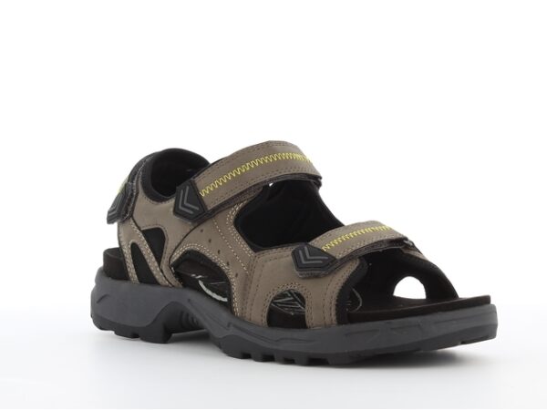 SPROX MEN 527612 TAPU - Image 2